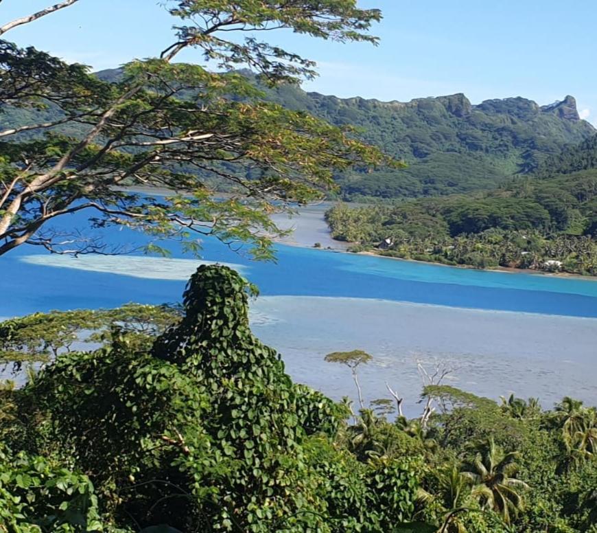 Huahine Manta Lodge Avec 4X4 Optionnel Haapu Екстер'єр фото