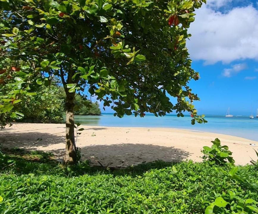 Huahine Manta Lodge Avec 4X4 Optionnel Haapu Екстер'єр фото