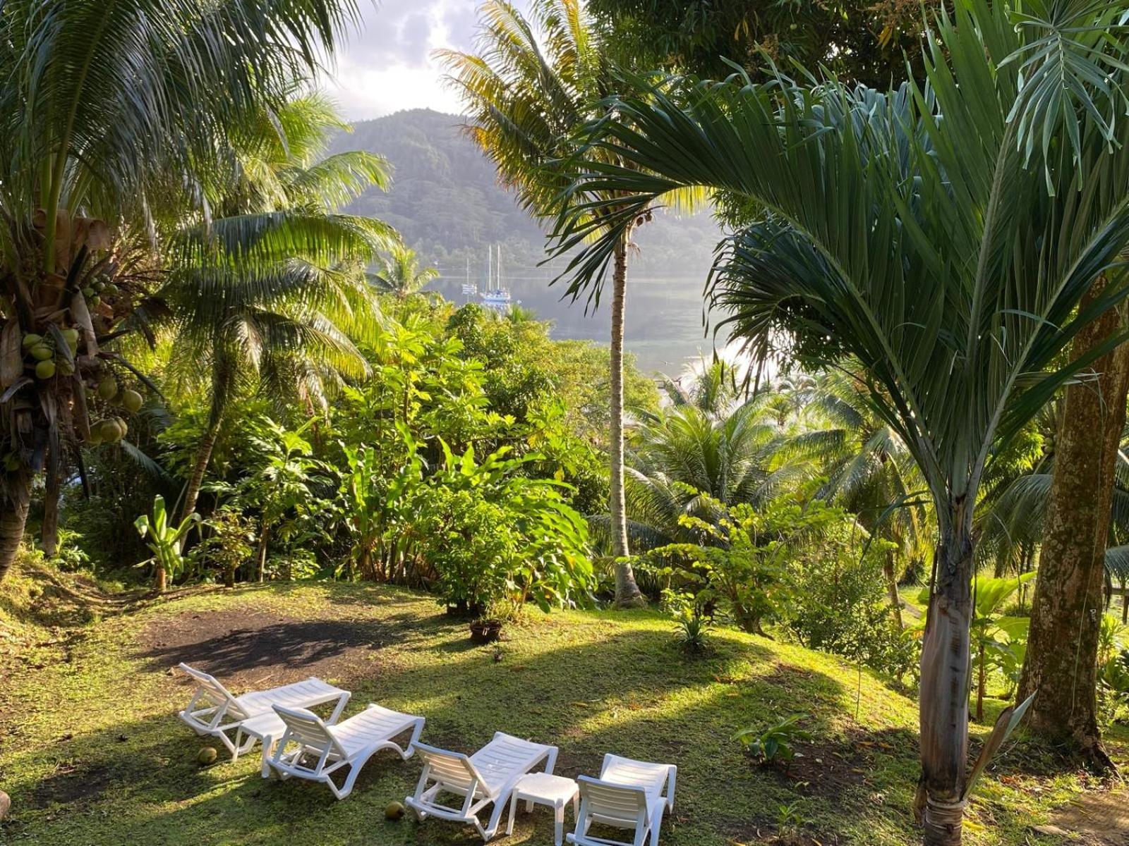 Huahine Manta Lodge Avec 4X4 Optionnel Haapu Екстер'єр фото