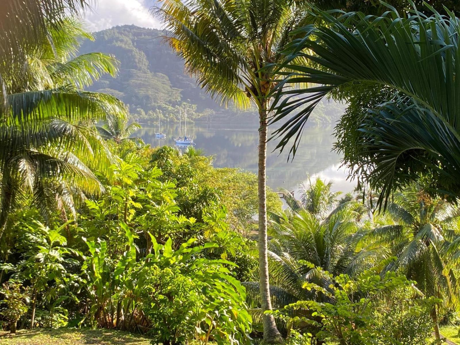 Huahine Manta Lodge Avec 4X4 Optionnel Haapu Екстер'єр фото